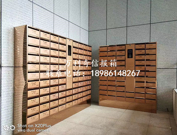 1698397217481586.jpg