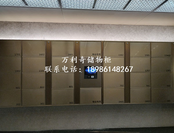 1698399268269641.jpg