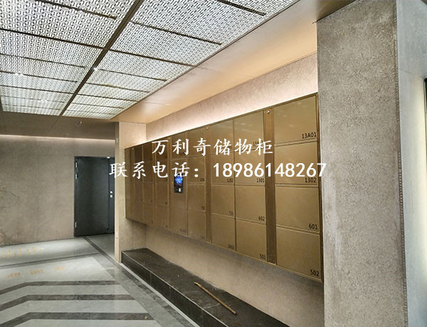 1698399268739269.jpg